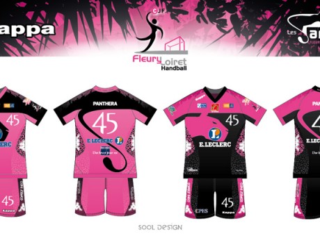 handball-fleury-maillots-2012-13.jpg