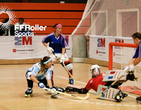 hockey-rink-EDF-11-2010.jpg